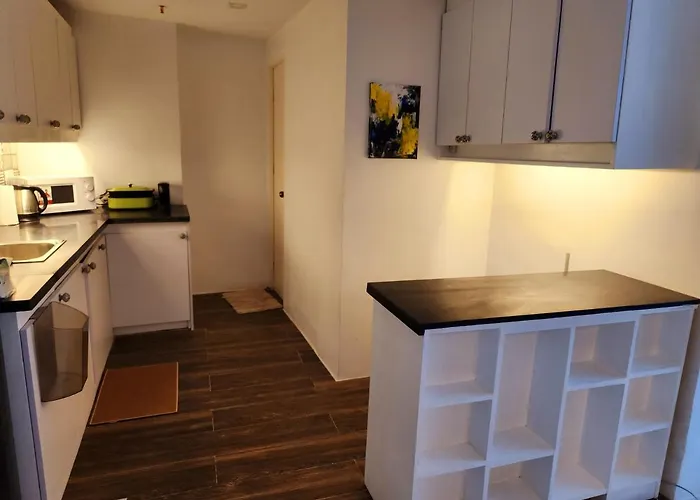 Cozy And Spacious Unit With Free Netflix Apartment